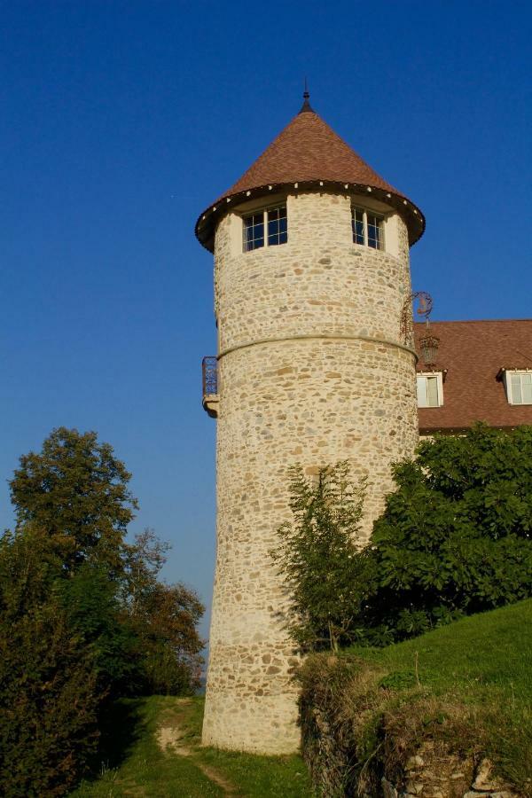 La Tour De Quinsonnas Bed and Breakfast Serezin-de-la-Tour Exterior foto